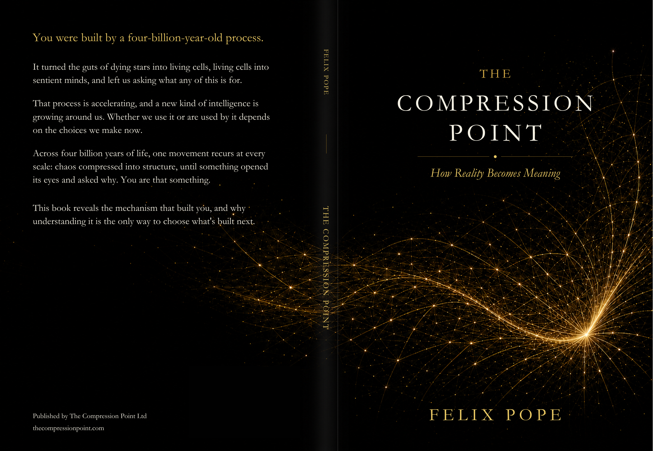 The Compression Point book cover — How Reality Becomes Meaning